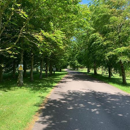 Fernhill Lodge Carrigaline Buitenkant foto