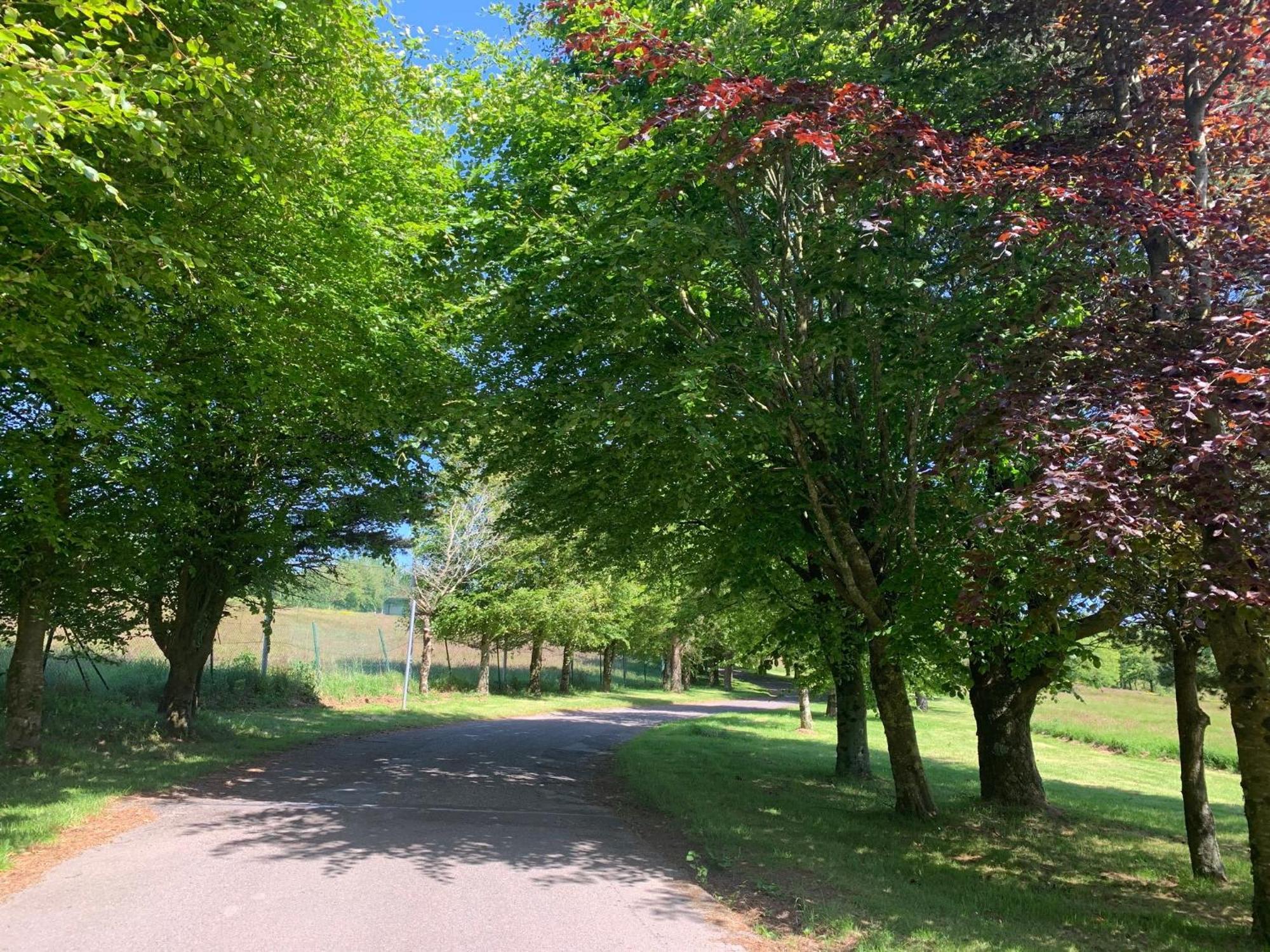 Fernhill Lodge Carrigaline Buitenkant foto